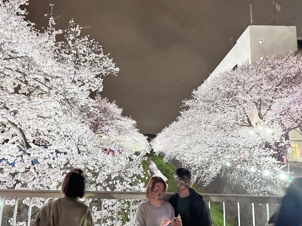 昨年のライトアップ