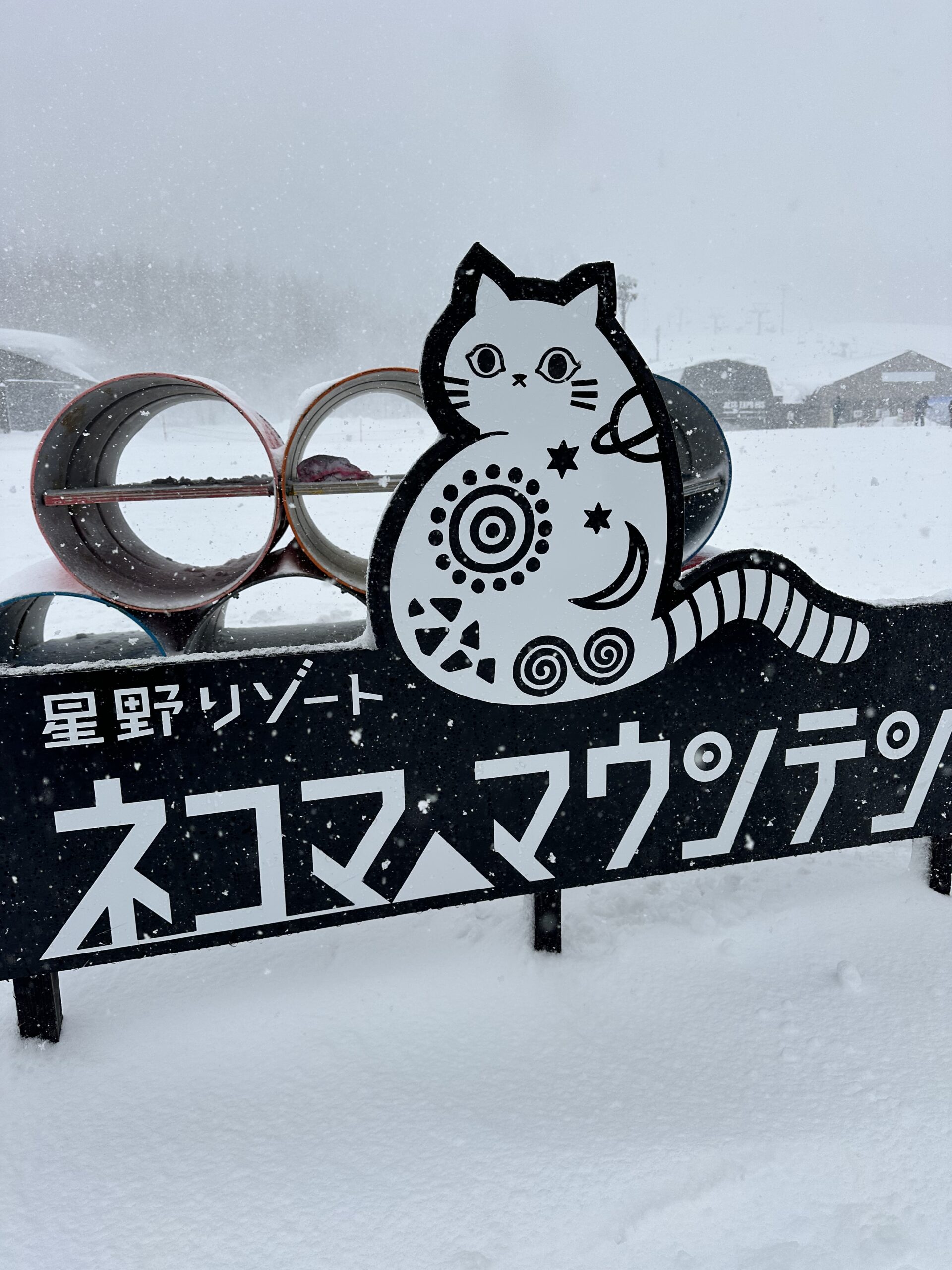 星野リゾートネコママウンテン